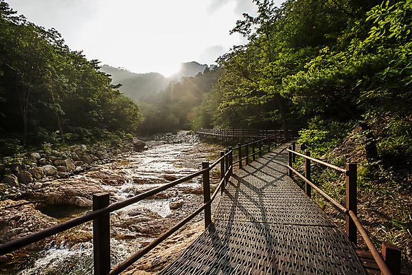 포토 JPG 주간 길 국립공원 풍경 사람없음 야외 계곡 바위 강원도 나무울타리 설악산 양양군 국내포토 자연요소 공원 산 한국 울타리 돌_바위 인제 파일형식