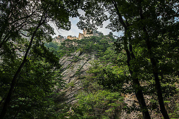 포토 JPG 주간 나무 국립공원 풍경 사람없음 야외 바위 강원도 설악산 양양군 국내포토 자연요소 식물 공원 산 한국 돌_바위 인제 파일형식