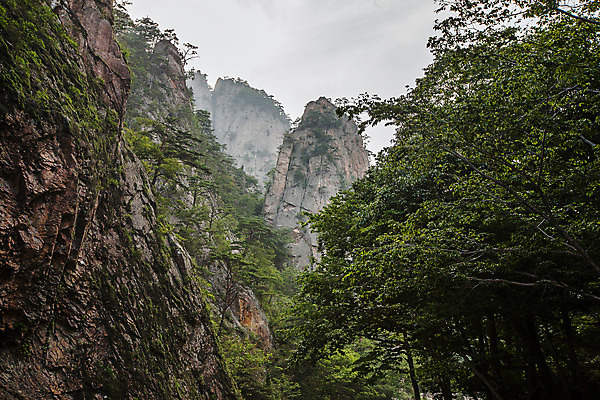 포토 JPG 주간 나무 하늘 국립공원 풍경 사람없음 야외 강원도 설악산 양양군 절벽바위 국내포토 자연요소 식물 공원 산 한국 바위_돌 인제 파일형식