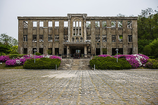포토 JPG 주간 나무 꽃 풍경 사람없음 야외 문화재 강원도 철원 노동당사 국내포토 자연요소 식물 한국 파일형식