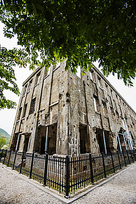 포토 JPG 주간 나뭇잎 풍경 사람없음 야외 문화재 강원도 철원 노동당사 국내포토 자연요소 잎 한국 파일형식