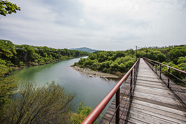 포토 JPG 주간 구름 하늘 풍경 사람없음 야외 숲 강원도 철교 철원 국내포토 자연요소 한국 다리_건축물 파일형식