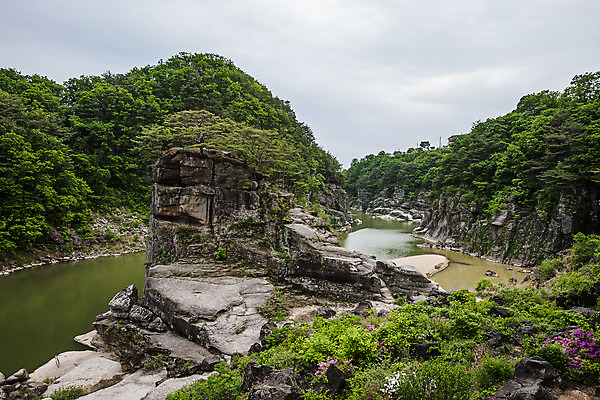 포토 JPG 주간 풍경 사람없음 야외 골짜기 바위 소나무 숲 강원도 철원 국내포토 자연요소 나무 자연 한국 돌_바위 파일형식