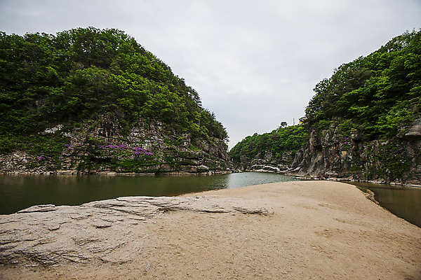 포토 JPG 주간 구름 하늘 풍경 사람없음 야외 골짜기 소나무 숲 강원도 철원 국내포토 자연요소 나무 자연 한국 파일형식
