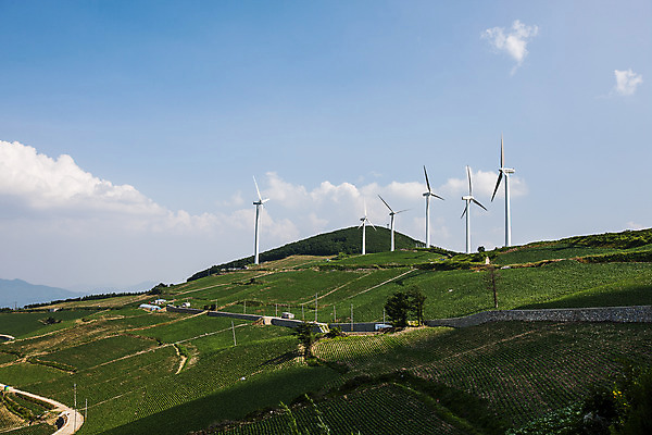 포토 JPG 주간 구름 하늘 풍경 사람없음 야외 풍력에너지 언덕 강원도 배추밭 태백 고랭지배추 국내포토 자연요소 밭 한국 그린에너지 배추 파일형식
