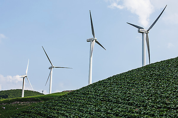 포토 JPG 주간 구름 하늘 풍경 사람없음 야외 풍력에너지 언덕 강원도 배추밭 태백 고랭지배추 국내포토 자연요소 밭 한국 그린에너지 배추 파일형식