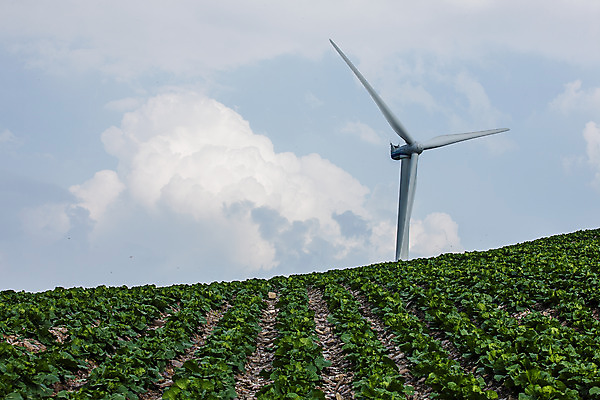 포토 JPG 주간 구름 하늘 풍경 사람없음 야외 풍력에너지 언덕 강원도 배추밭 태백 고랭지배추 국내포토 자연요소 밭 한국 그린에너지 배추 파일형식