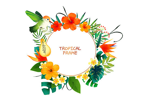 PSD 한마리 일러스트 사람없음 열대과일 꽃프레임 벌새 열대꽃 열대잎 프레임일러스트 트로피컬아트 국내일러스트 1 꽃 잎 과일 프레임 그림 파일형식