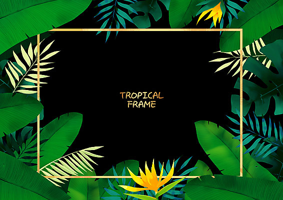 PSD 일러스트 프레임 사람없음 열대꽃 열대잎 프레임일러스트 트로피컬아트 국내일러스트 꽃 잎 그림 파일형식