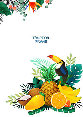 PSD 한마리 오렌지 일러스트 프레임 바나나 사람없음 파인애플 코코넛 망고 열대잎 프레임일러스트 토코투칸 트로피컬아트 국내일러스트 1 잎 과일 조류 열대과일 그림 파일형식