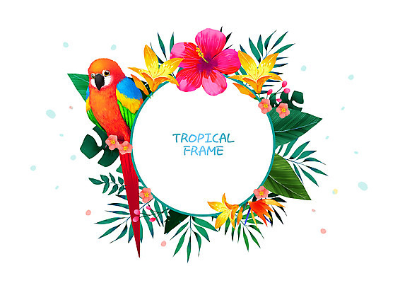 PSD 한마리 일러스트 프레임 사람없음 앵무새 열대꽃 열대잎 프레임일러스트 트로피컬아트 국내일러스트 1 꽃 잎 조류 그림 파일형식