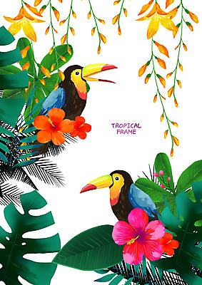 PSD 두마리 일러스트 프레임 앉기 사람없음 열대꽃 열대잎 프레임일러스트 토코투칸 트로피컬아트 국내일러스트 꽃 잎 2 모션 조류 그림 파일형식