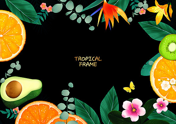 PSD 한마리 나비 오렌지 일러스트 프레임 키위 사람없음 자몽 아보카도 열대꽃 열대잎 프레임일러스트 트로피컬아트 국내일러스트 1 꽃 곤충 잎 과일 그림 파일형식