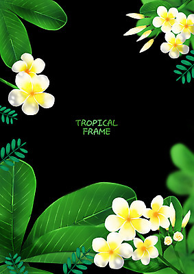 PSD 일러스트 프레임 사람없음 꽃프레임 열대꽃 열대잎 프레임일러스트 트로피컬아트 국내일러스트 꽃 잎 그림 파일형식