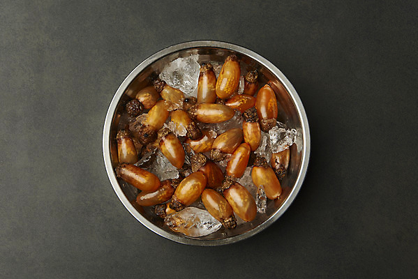 포토 JPG 스튜디오촬영 그릇 검은배경 실내 사람없음 하이앵글 얼음 봄 해산물 담기 미더덕 제철음식 국내포토 자연요소 식기 계절 음식 뷰포인트 백그라운드 모션 내부 검은색 수중동물 제철 파일형식