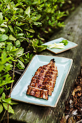 포토 JPG 주간 접시 식재료 사람없음 야외 아웃포커스 전라북도 장어구이 고창 풍천장어 국내포토 자연요소 식기 촬영기법 전라도 장어 생선요리 파일형식