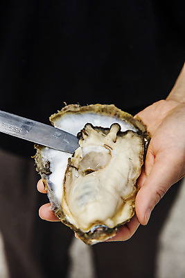 포토 JPG 손 식재료 한명 들기 사람 상반신 앞모습 아웃포커스 신체부위 굴 칼 경상남도 손질 섬진강 하동 국내포토 1 뷰포인트 모션 어패류 촬영기법 경상도 파일형식