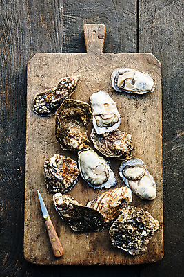 포토 JPG 식재료 사람없음 하이앵글 굴 칼 경상남도 나무도마 섬진강 하동 나무배경 국내포토 뷰포인트 백그라운드 어패류 도마 목재 경상도 파일형식