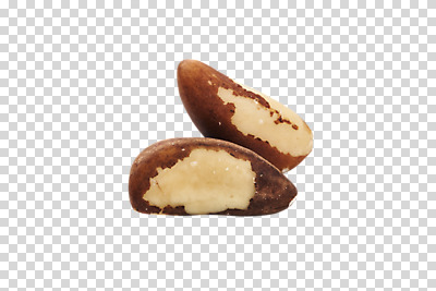 편집 편집이미지 누끼 사람없음 두개 건강식품 건강식 웰빙음식 PNG 편집소스 브라질넛 슈퍼푸드 웰빙 음식 2 건강 견과류 파일형식