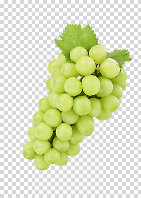 편집 편집이미지 한송이 과일 누끼 사람없음 신선 달콤 PNG 포도잎 편집소스 망고포도 1 잎 포도 맛 청포도 송이 파일형식