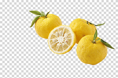 편집 편집이미지 잎 과일 단면 누끼 사람없음 농작물 여러개 신선 유기농 비타민 PNG 유자 편집소스 슈퍼푸드 식물 웰빙 다수 농업 건강식품 영양소 파일형식