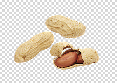 편집 편집이미지 열매 식재료 누끼 사람없음 농작물 견과류 껍질 알맹이 땅콩 정월대보름 부럼 PNG 편집소스 식물 명절 농업 파일형식