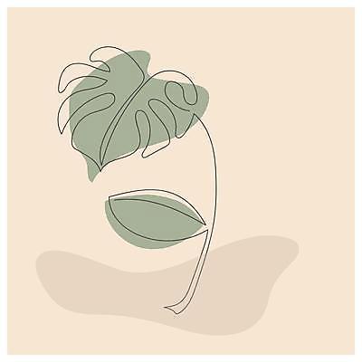 EPS 해외이미지 라인일러스트 일러스트 사람없음 라인아트 몬스테라 베이지색 미니멀 해외일러스트 식물 선 컬러 파일형식 벡터