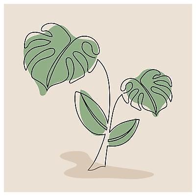 EPS 해외이미지 라인일러스트 일러스트 사람없음 라인아트 몬스테라 베이지색 미니멀 해외일러스트 식물 선 컬러 파일형식 벡터
