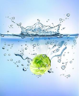 EPS 해외이미지 일러스트 사람없음 물 파란색 물방울 떨어짐 양배추 스플래쉬 해외일러스트 자연요소 컬러 컨셉 채소 파일형식 벡터