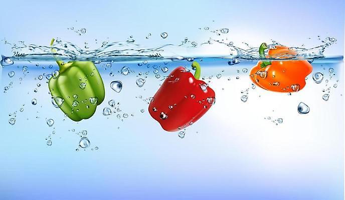 EPS 해외이미지 일러스트 파프리카 사람없음 물 파란색 물방울 떨어짐 스플래쉬 해외일러스트 자연요소 컬러 컨셉 채소 파일형식 벡터