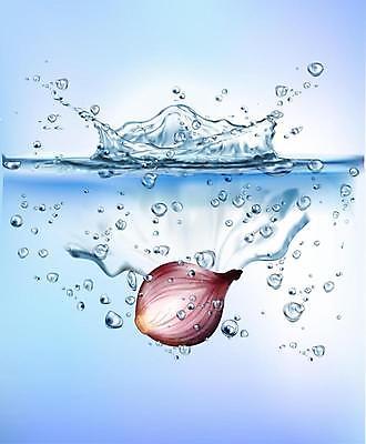 EPS 해외이미지 일러스트 사람없음 물 파란색 물방울 떨어짐 적양파 스플래쉬 해외일러스트 자연요소 컬러 컨셉 양파 파일형식 벡터