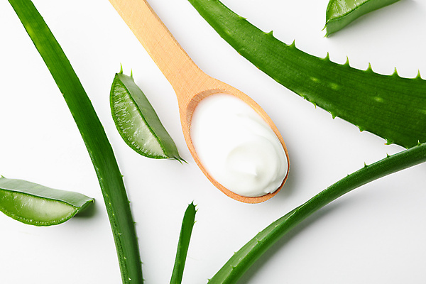 포토 JPG 해외이미지 스튜디오촬영 실내 사람없음 하이앵글 흰배경 나무숟가락 알로에 플랫레이 해외포토 식물 뷰포인트 백그라운드 내부 숟가락 흰색 플랫 파일형식