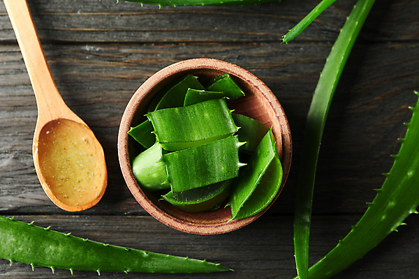포토 JPG 해외이미지 스튜디오촬영 그릇 검은배경 실내 사람없음 하이앵글 나무숟가락 알로에 해외포토 식물 식기 뷰포인트 백그라운드 내부 숟가락 검은색 파일형식