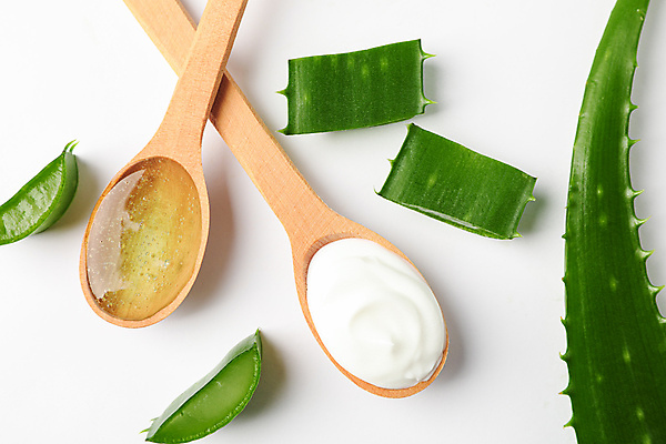 포토 JPG 해외이미지 스튜디오촬영 실내 사람없음 하이앵글 흰배경 나무숟가락 알로에 플랫레이 해외포토 식물 뷰포인트 백그라운드 내부 숟가락 흰색 플랫 파일형식