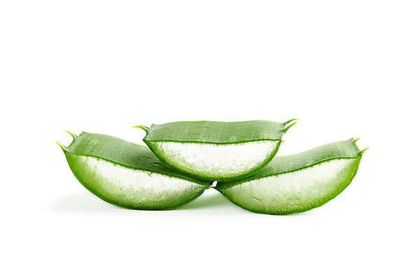 포토 JPG 해외이미지 스튜디오촬영 실내 사람없음 흰배경 알로에 해외포토 식물 백그라운드 내부 흰색 파일형식