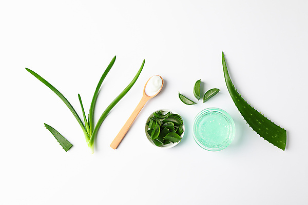 포토 JPG 해외이미지 스튜디오촬영 실내 사람없음 하이앵글 화장품 흰배경 나무숟가락 알로에 플랫레이 해외포토 식물 뷰포인트 백그라운드 내부 뷰티 숟가락 흰색 플랫 파일형식