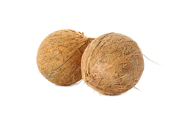 포토 JPG 해외이미지 실내 사람없음 열대과일 코코넛 해외포토 과일 내부 파일형식