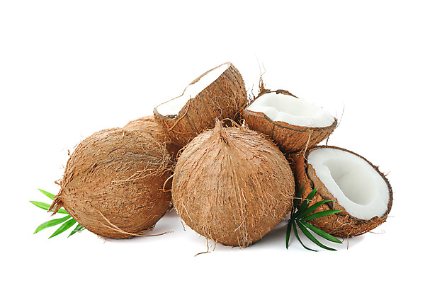 포토 JPG 해외이미지 실내 사람없음 열대과일 코코넛 해외포토 과일 내부 파일형식