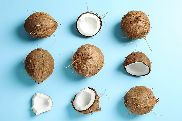 포토 JPG 해외이미지 단면 실내 사람없음 하이앵글 열대과일 파란배경 코코넛 해외포토 뷰포인트 백그라운드 과일 내부 파란색 파일형식