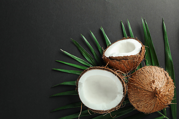 포토 JPG 해외이미지 잎 검은배경 단면 실내 사람없음 열대과일 코코넛 해외포토 식물 백그라운드 과일 내부 검은색 파일형식