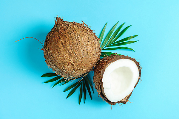 포토 JPG 해외이미지 잎 단면 실내 사람없음 열대과일 파란배경 코코넛 해외포토 식물 백그라운드 과일 내부 파란색 파일형식