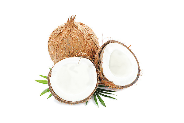 포토 JPG 해외이미지 실내 사람없음 열대과일 코코넛 해외포토 과일 내부 파일형식