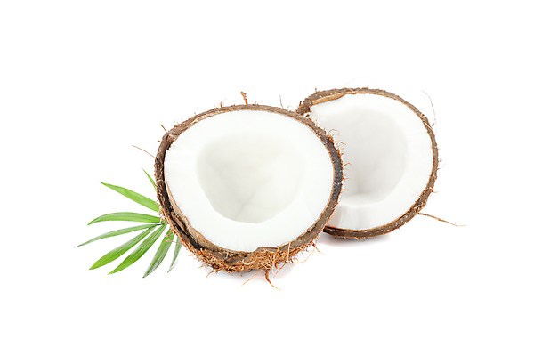 포토 JPG 해외이미지 단면 실내 사람없음 열대과일 코코넛 해외포토 과일 내부 파일형식