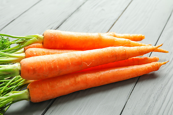 포토 JPG 해외이미지 사람없음 당근 나무배경 해외포토 백그라운드 뿌리채소 파일형식