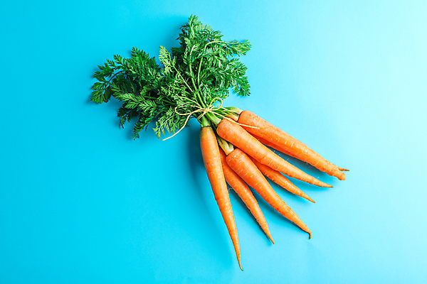 포토 JPG 해외이미지 사람없음 당근 묶기 파란배경 해외포토 백그라운드 모션 뿌리채소 파란색 파일형식