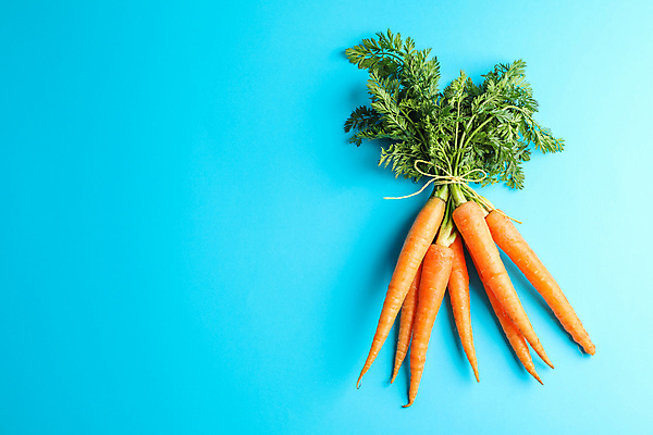 포토 JPG 해외이미지 사람없음 하이앵글 당근 묶기 파란배경 해외포토 뷰포인트 백그라운드 모션 뿌리채소 파란색 파일형식