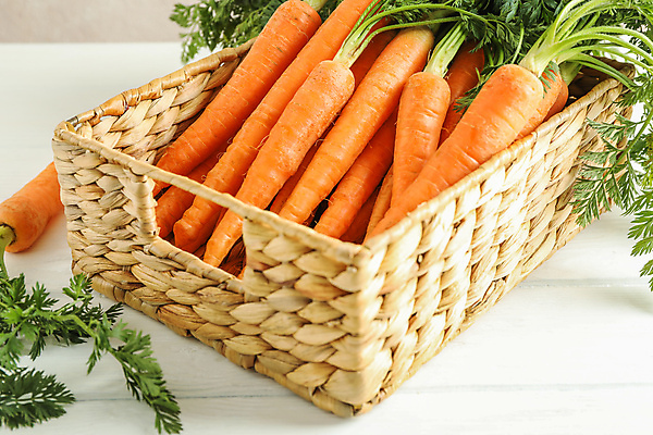 포토 JPG 해외이미지 사람없음 바구니 당근 담기 해외포토 모션 뿌리채소 파일형식