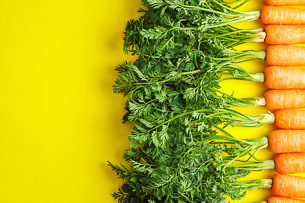 포토 JPG 해외이미지 사람없음 당근 일렬 노란배경 해외포토 백그라운드 뿌리채소 노란색 파일형식