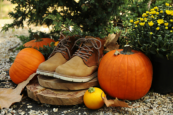 포토 JPG 해외이미지 주간 꽃 낙엽 잎 자연 호박 부츠 사람없음 야외 가을 추수감사절 해외포토 자연요소 식물 계절 기독교 신발 채소 생태계 파일형식