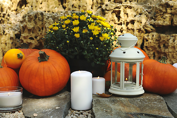 포토 JPG 해외이미지 주간 꽃 잎 초 호박 사람없음 야외 가을 바위 램프 추수감사절 해외포토 자연요소 식물 계절 기독교 채소 조명 돌_바위 파일형식